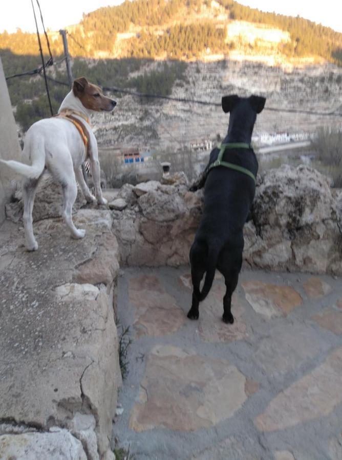 Casa Rural Butaka الكالا ديل جوكار المظهر الخارجي الصورة